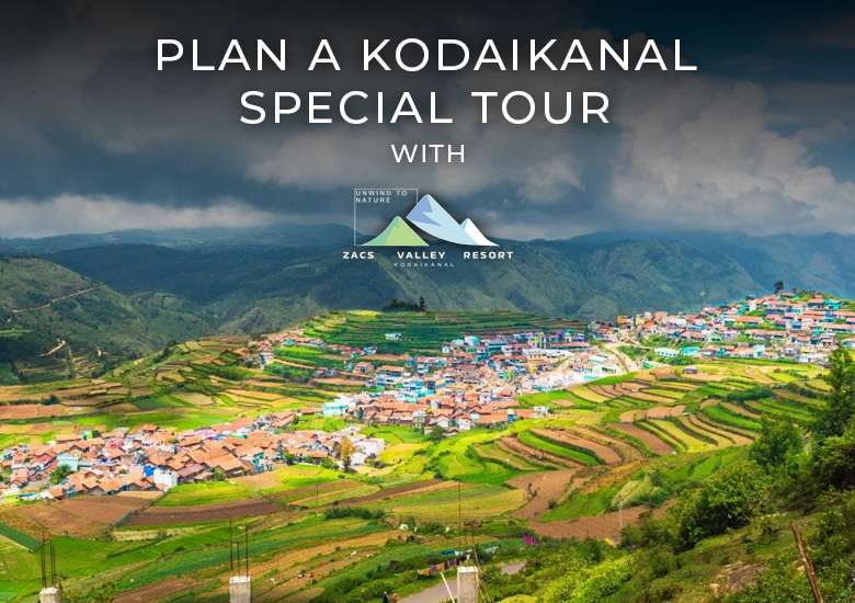 Plan a Kodaikanal Special Tour with Zacs Valley Resort