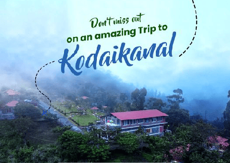 Unwind in the Heart of Kodaikanal at Zacs Valley